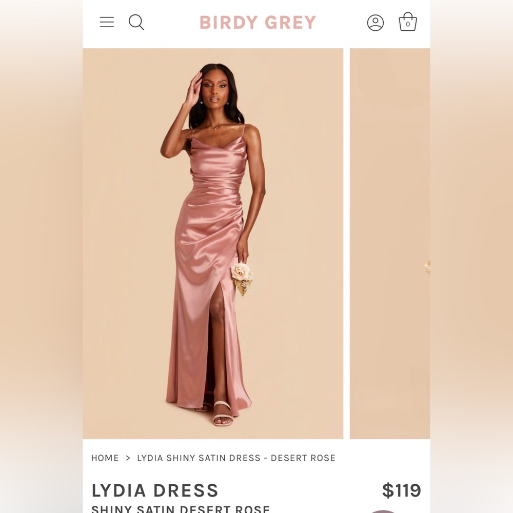 Birdy Grey Dress - Lydia in Desert Rose Color